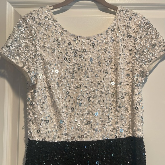 Adrianna Papell gown - Picture 2 of 7